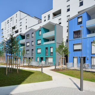 Image Le Domino